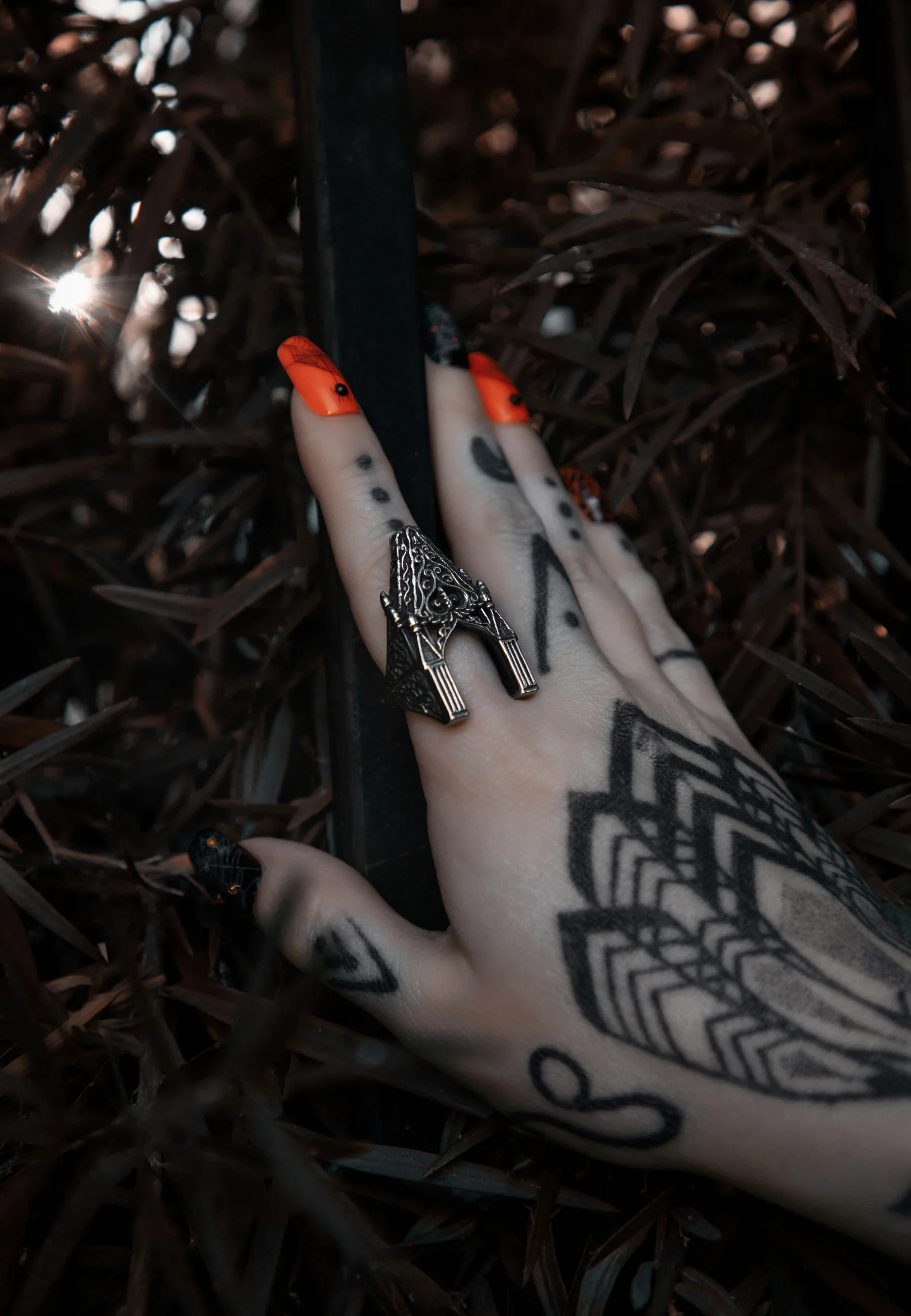Thumbnail 5
